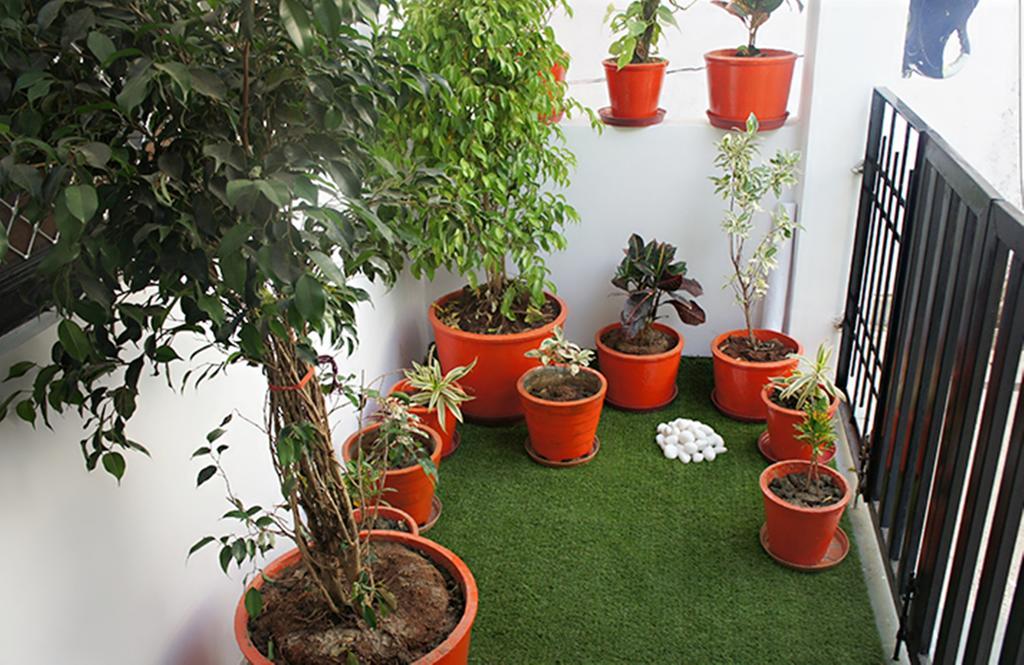 Lassi Guest House Udaipur Luaran gambar
